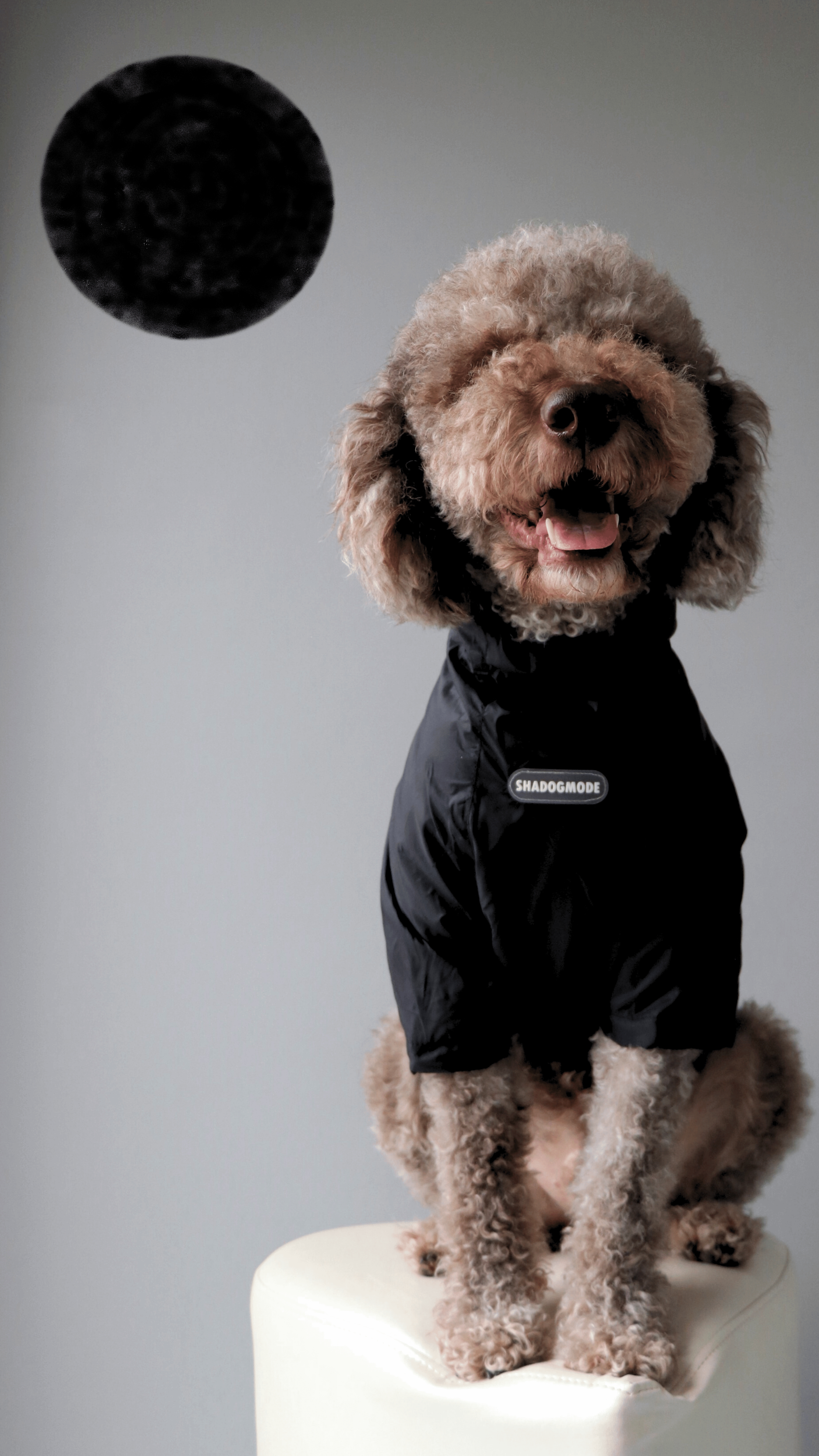 BLACK YAĞMURLUK